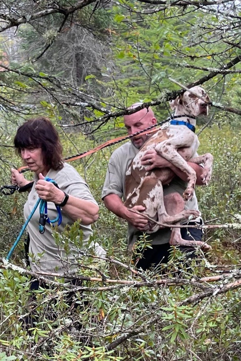 Bob Dodson carries the frightened 70-pound dog across a tippy pallet bridge.